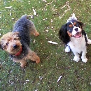 Meet your Posher, Jill